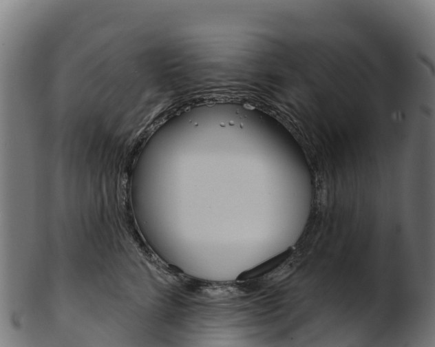 X0000103470712200809121120