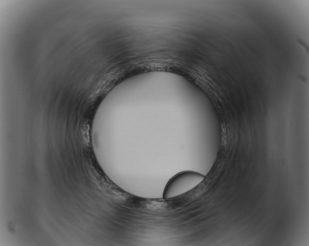 X0000103470718200809121120