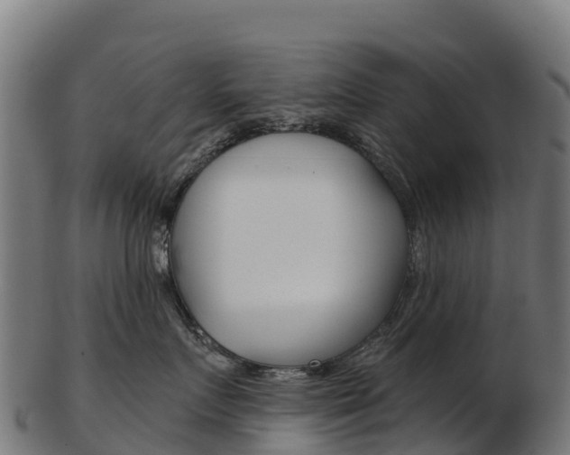 X0000103470719200809121120