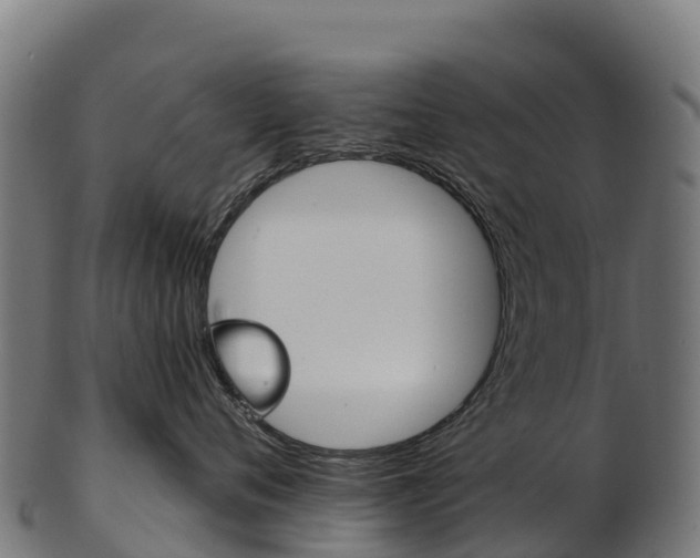 X0000103470720200809121120