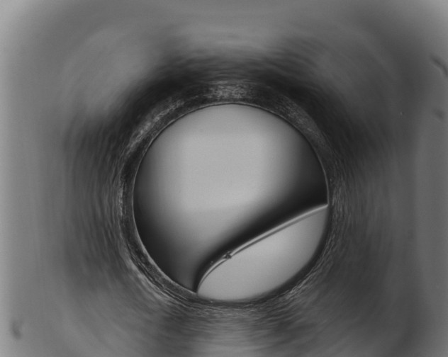 X0000103470722200809121119