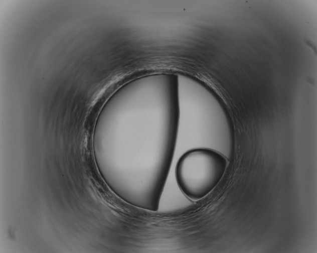 X0000103470723200809121119
