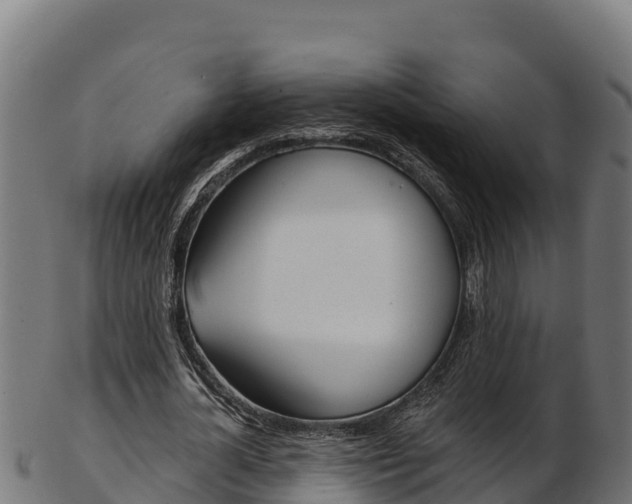 X0000103470724200809121119