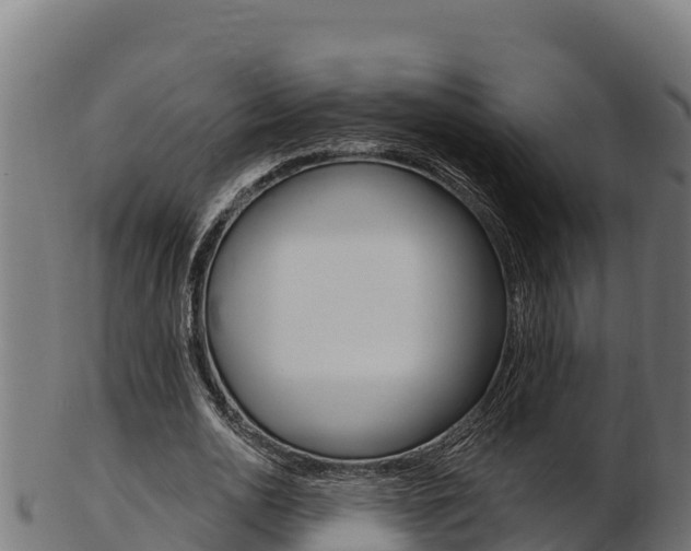 X0000103470726200809121119