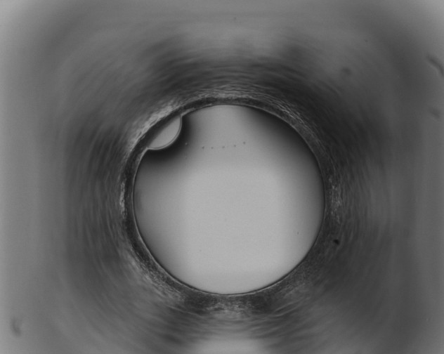 X0000103470727200809121119