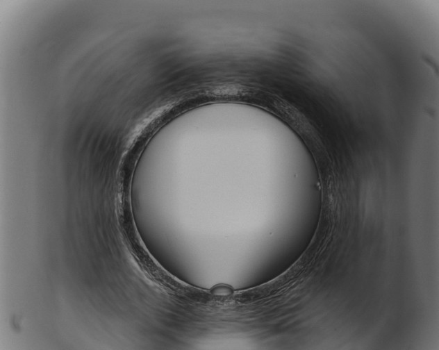X0000103470728200809121119