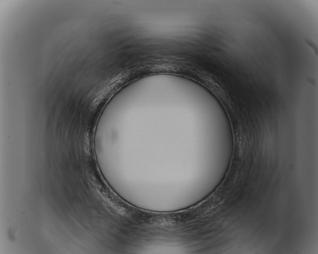 X0000103470729200809121119