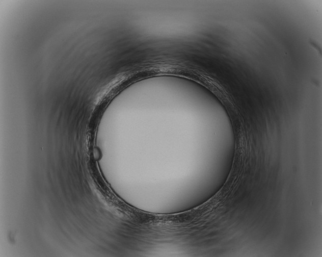 X0000103470730200809121119