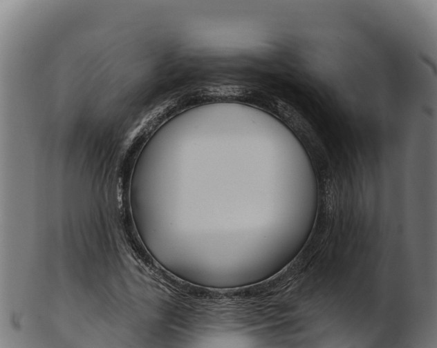 X0000103470731200809121119