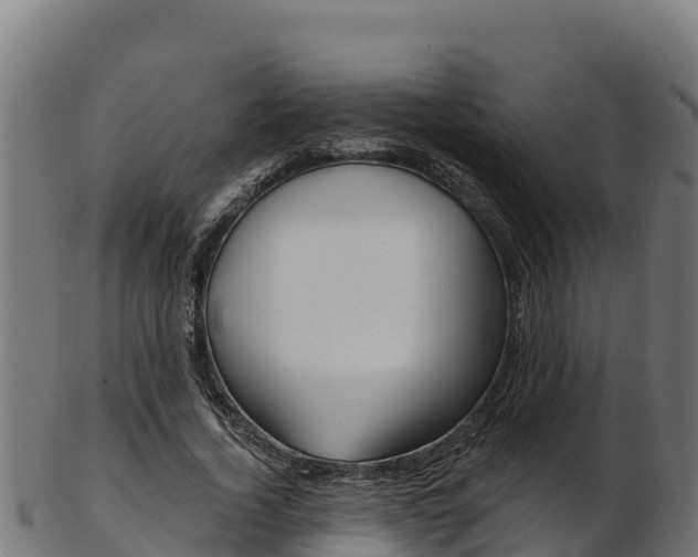 X0000103470732200809121119