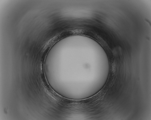 X0000103470733200809121119