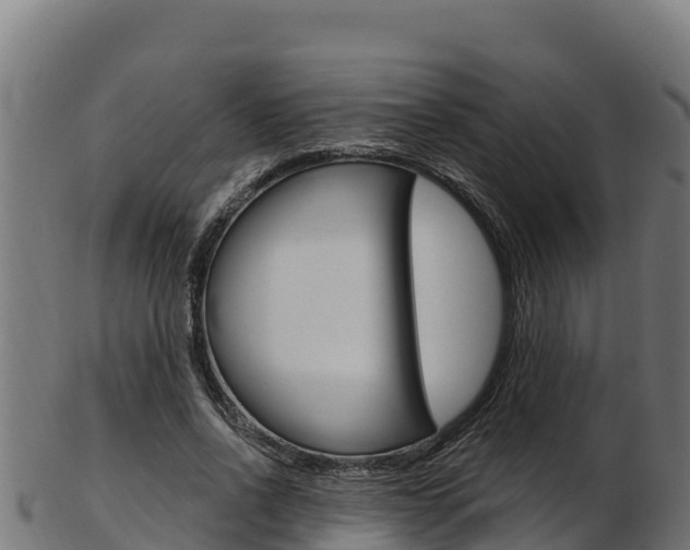 X0000103470734200809121119