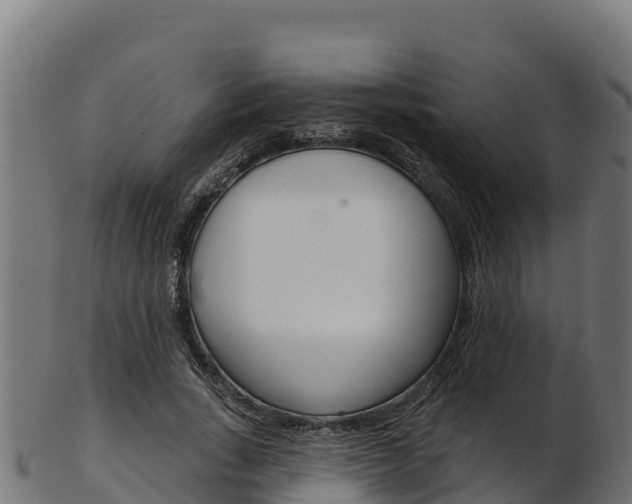 X0000103470735200809121119