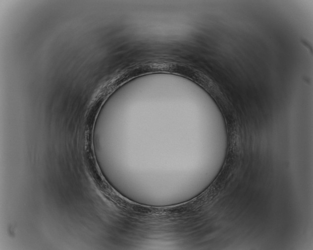 X0000103470736200809121119