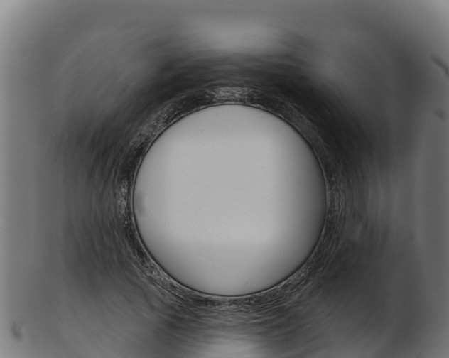 X0000103470737200809121119