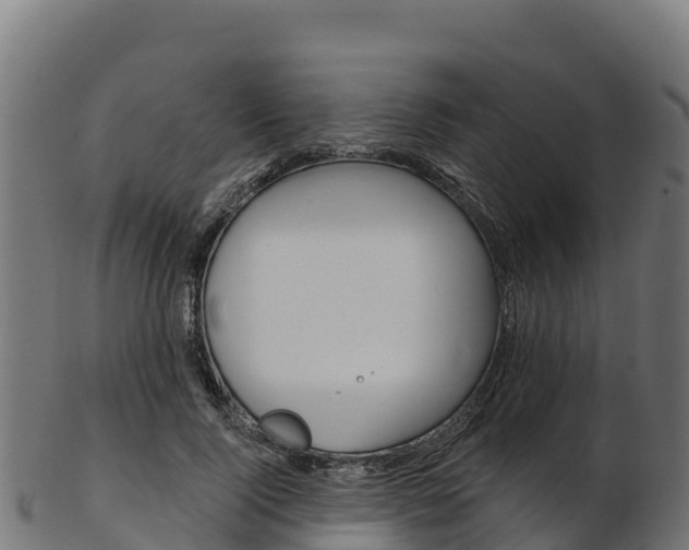 X0000103470740200809121119