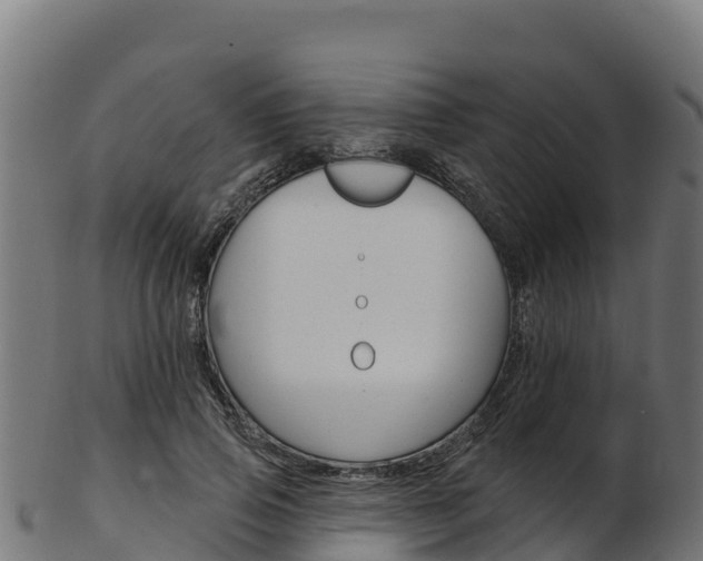 X0000103470741200809121119
