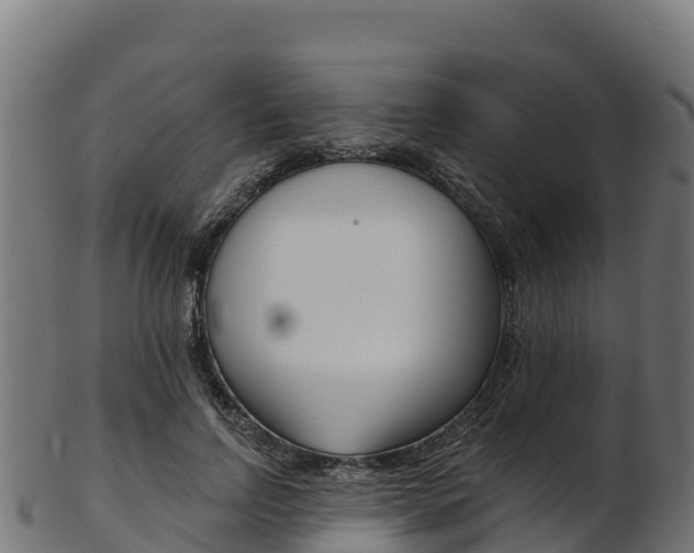 X0000103470742200809121119