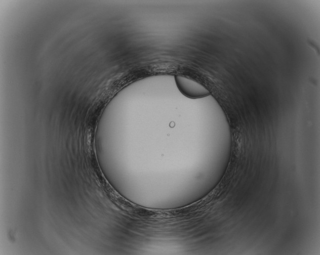 X0000103470745200809121119