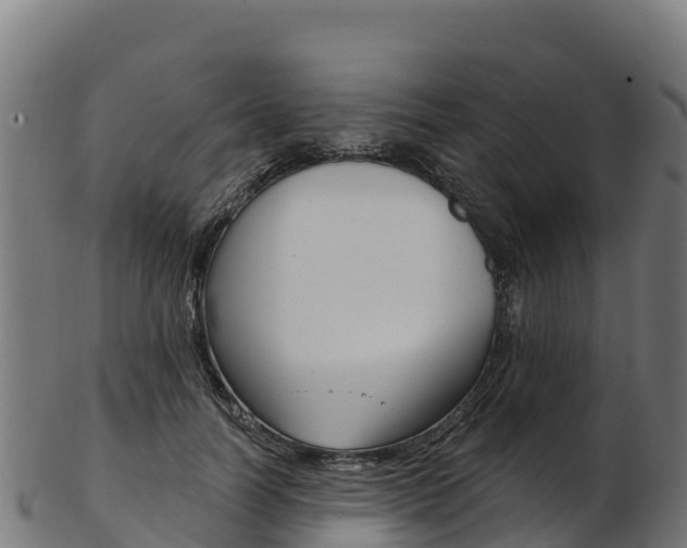 X0000103470746200809121119