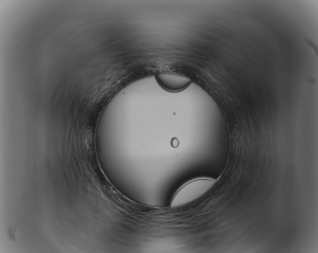 X0000103470747200809121119