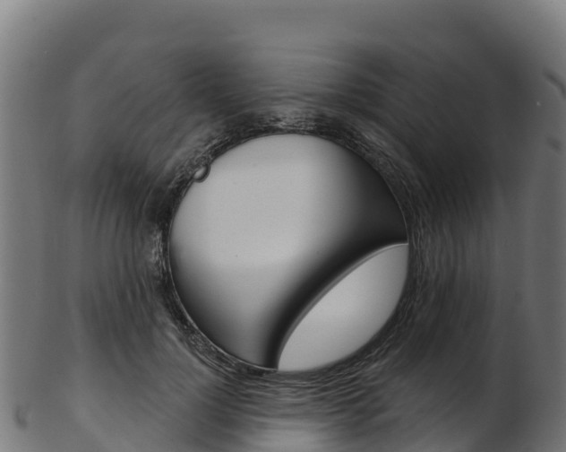 X0000103470748200809121119