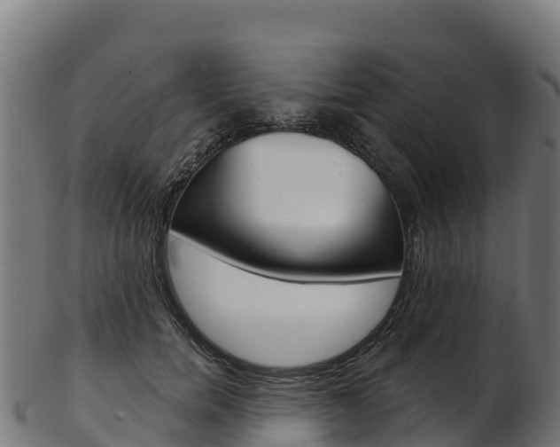 X0000103470750200809121120