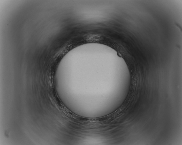X0000103470755200809121120