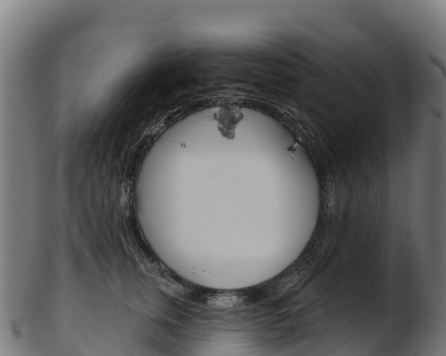 X0000103470759200809121120