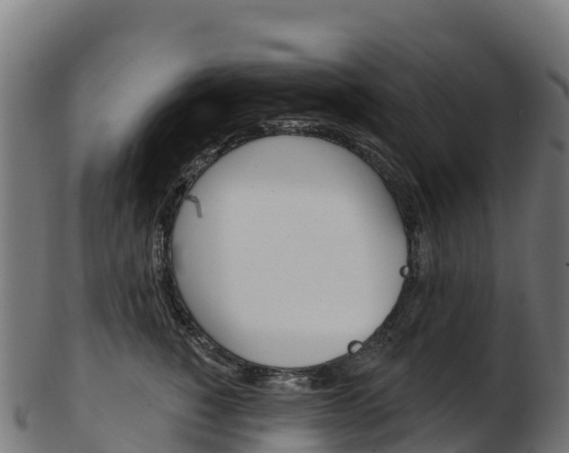X0000103470760200809121120