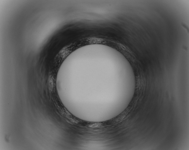 X0000103470761200809121120