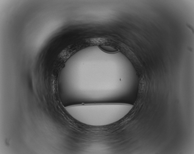 X0000103470762200809121120