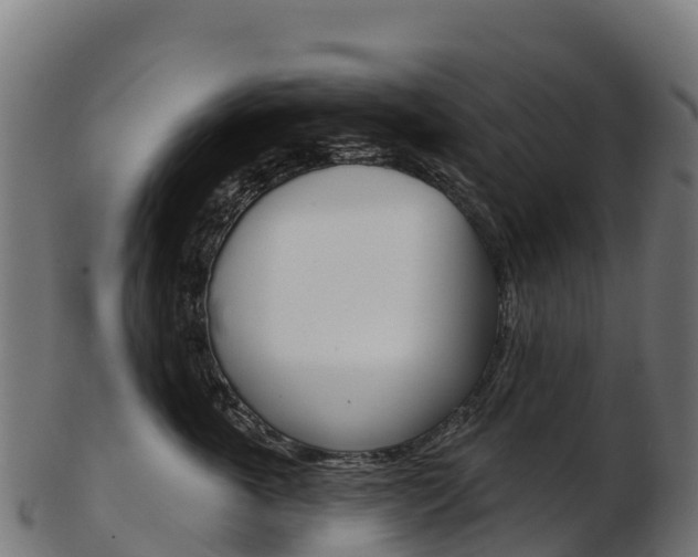 X0000103470763200809121120