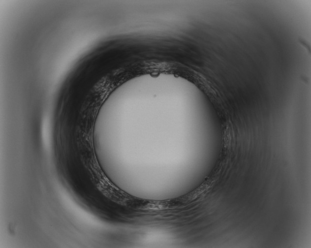 X0000103470764200809121120