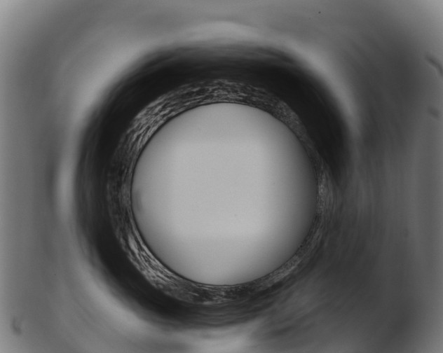 X0000103470765200809121120