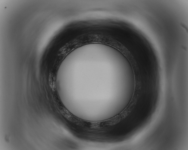 X0000103470766200809121120