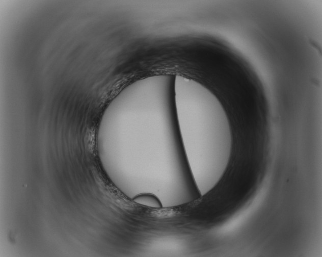 X0000103470767200809121120