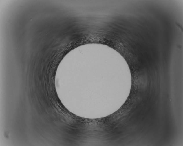 X0000103470769200809121119