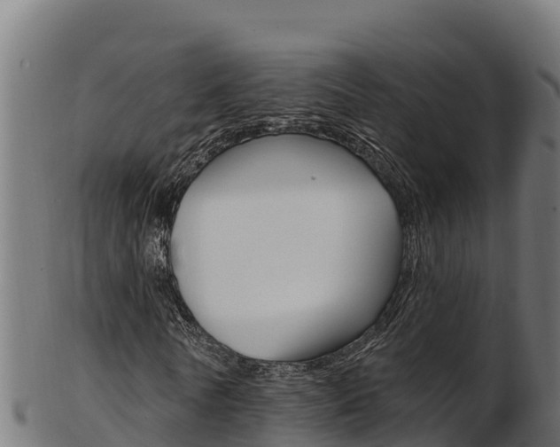 X0000103470770200809121119