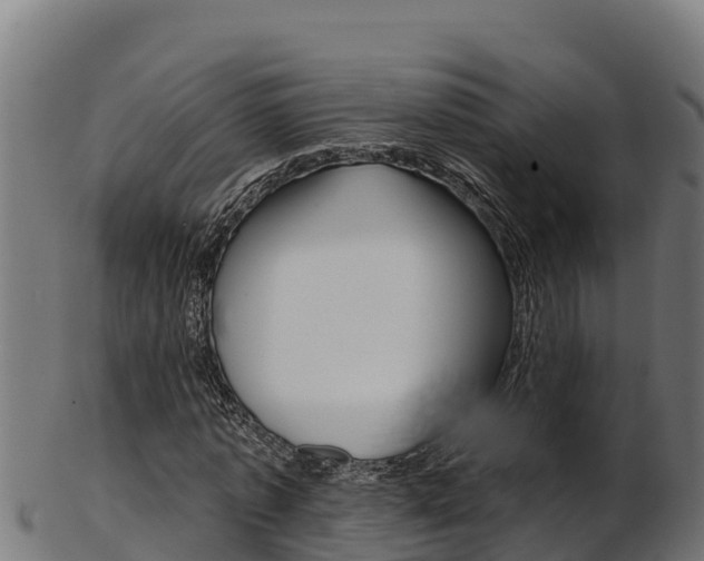 X0000103470773200809121119