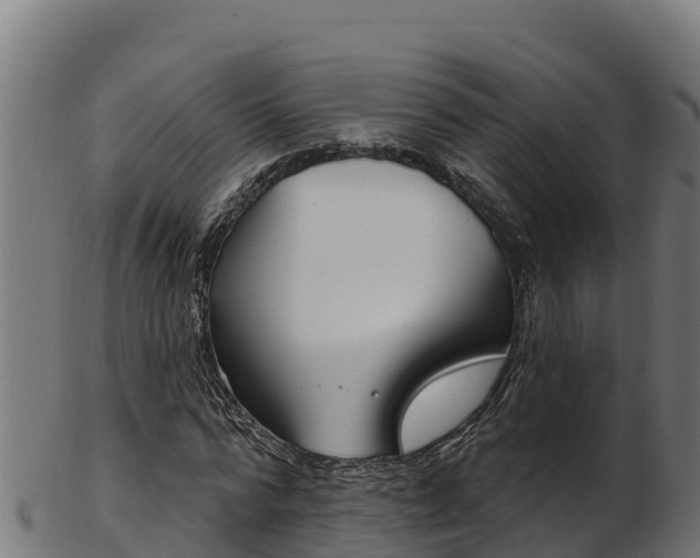 X0000103470776200809121119