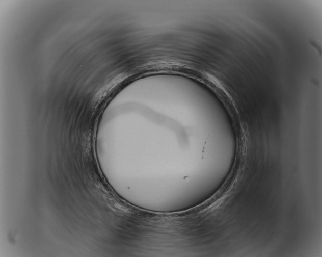 X0000103470778200809121119