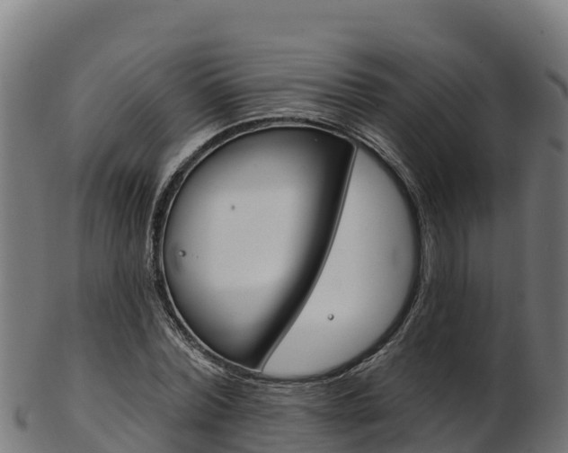 X0000103470780200809121119