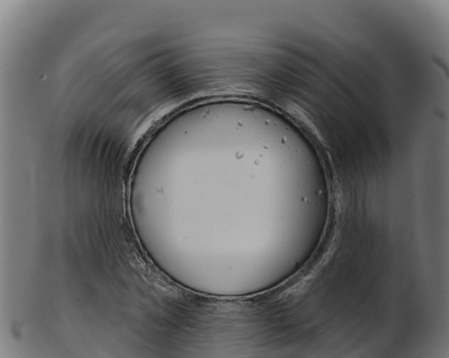 X0000103470781200809121119