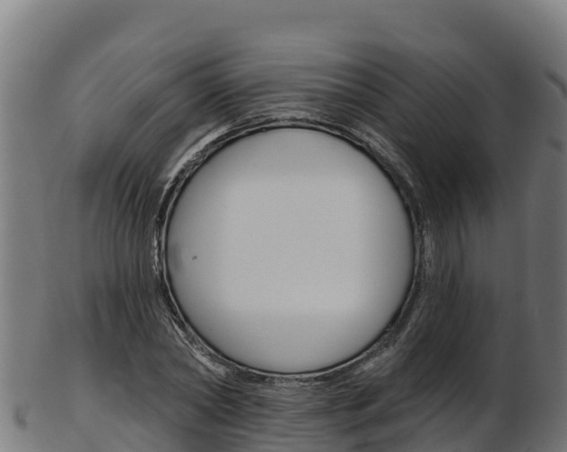 X0000103470782200809121119