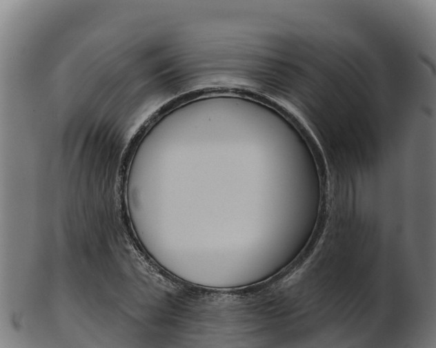 X0000103470783200809121119