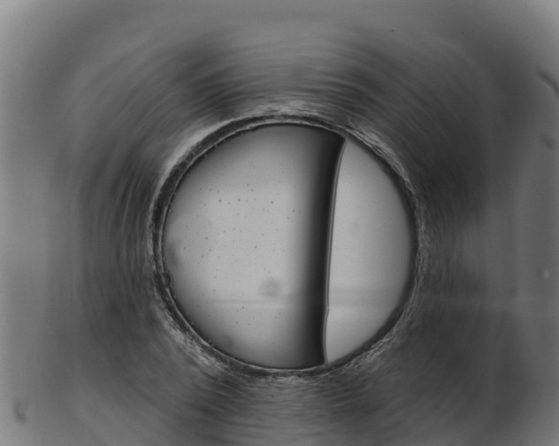 X0000103470784200809121119