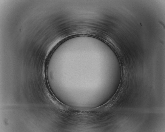 X0000103470788200809121119