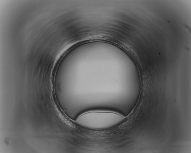 X0000103470792200809121119