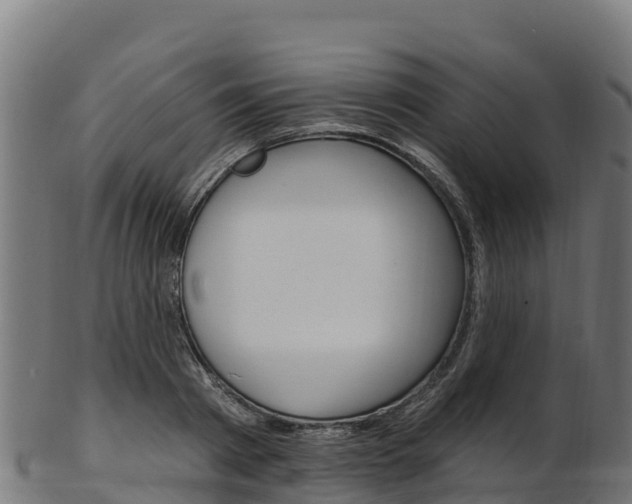 X0000103470793200809121119